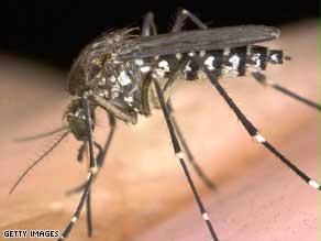 أنثى البعوض تنقلي الطفيلي المسبب للملاريا
